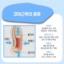 중심코어 모래내 이미지