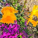 선학농장 이미지