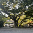 엉게나무 | 부산 기장 철마 한우 엉게나무집 내돈내산 후기