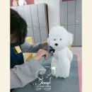 견생멍컷 | [포항애견미용학원] “포항 애견미용학원 6개월 완성! 자격증 + 창업까지 한 번에 끝내는 현실 커리큘럼”