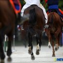 민족무술도장 이미지