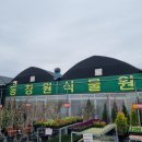 즐거운영농조합 | 창원 식물 꽃 도소매 판매점 동창원 식물원 영농조합 방문 후기