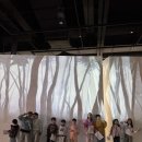 선태권도 이미지