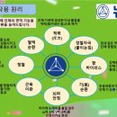 주식회사 비움과채움 | 염증 뽑아내는 신소재 의료기기 뉴레파 패치