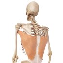 우송대학교 보건복지대학원 이미지