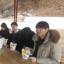 금성스타랜드 Daum카페
