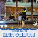 때려PC | 비엣젯 수하물 추가 좌석구매 결제 오류 확인법 카드결제 꿀팁도 알려줌