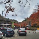 강천산군립공원(구장군폭포) 이미지