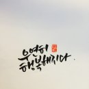 감성을 쓰다 캘리그라퍼 이미지