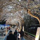 양평-용문-용문-2 이미지