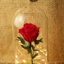 광명로 110번길 이미지