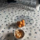 서영2농장 이미지