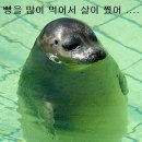 루반도르과자점