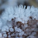 금성리빙텔 이미지