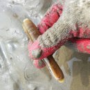 안면도수평선 이미지