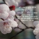 성구