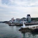 송고민박