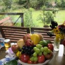 김삿갓사과농원 이미지