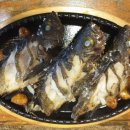 싱싱오징어바다 이미지