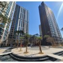 순천왕조초등학교 이미지