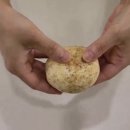 델리캣