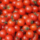 아야알러리스가정의학과의원 이미지