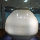 용인대학교 박물관 이미지