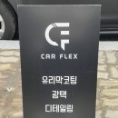 카플렉스 이미지