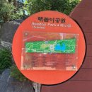 송도 장미꽃이 예쁘게 핀 해돋이 공원 방문후기와 주차정보 피크닉 팁(매점&amp;배달) 장미꽃 상태👍