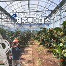 서부해안로 | 제주투어패스 타임제로 지도 코스 사용법 이용 후기 (+할인 팁)