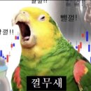 11월 결산(애드 포스트 및 공모주, 배당금 등)
