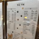 멍멍이와 숲속에서 이미지