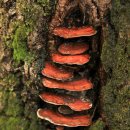 산음보건진료소 이미지