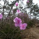 남해-274 이미지