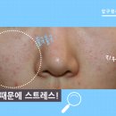 정안탕 이미지