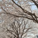 용문체육관(태권도) 이미지