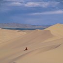 초원의 언덕 이미지