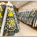 일신장의 이미지