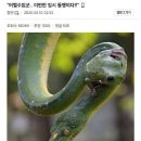 머니아카데미아 이미지