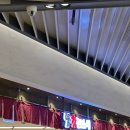 스시랑연어 | 서면 롯데 갓덴스시 내돈내산 후기｜연어뱃살·장어초밥 믿고 먹는 회전초밥