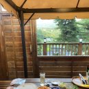 모리숲 | 내돈내산 / 공주여행 감성 숙소 '모리의숲' 숙박 솔직 후기🏡🌿