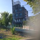 원주제일큰약국 이미지