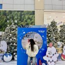 [군산] 수송동 수송돈 7길카츠
