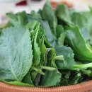 부광횟집 이미지