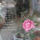 플로리스트윤지