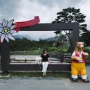 명애견센터 | 강원도 고성 애견동반 숙소 | 켄싱턴 설악밸리 펫베른
