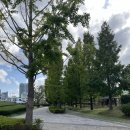 광명 부동산중개인사무소 | 광명뉴타운 재개발 지역을 둘러보다 주민들이 말하는 현장 분위기