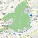 동구청 건너편 횡단보도 이미지