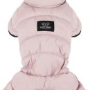 엔젤퍼피 이미지