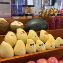 상상카프라자 | [다낭여행 2일차] 겨울 다낭여행 3박 4일 (2일차/바나힐)